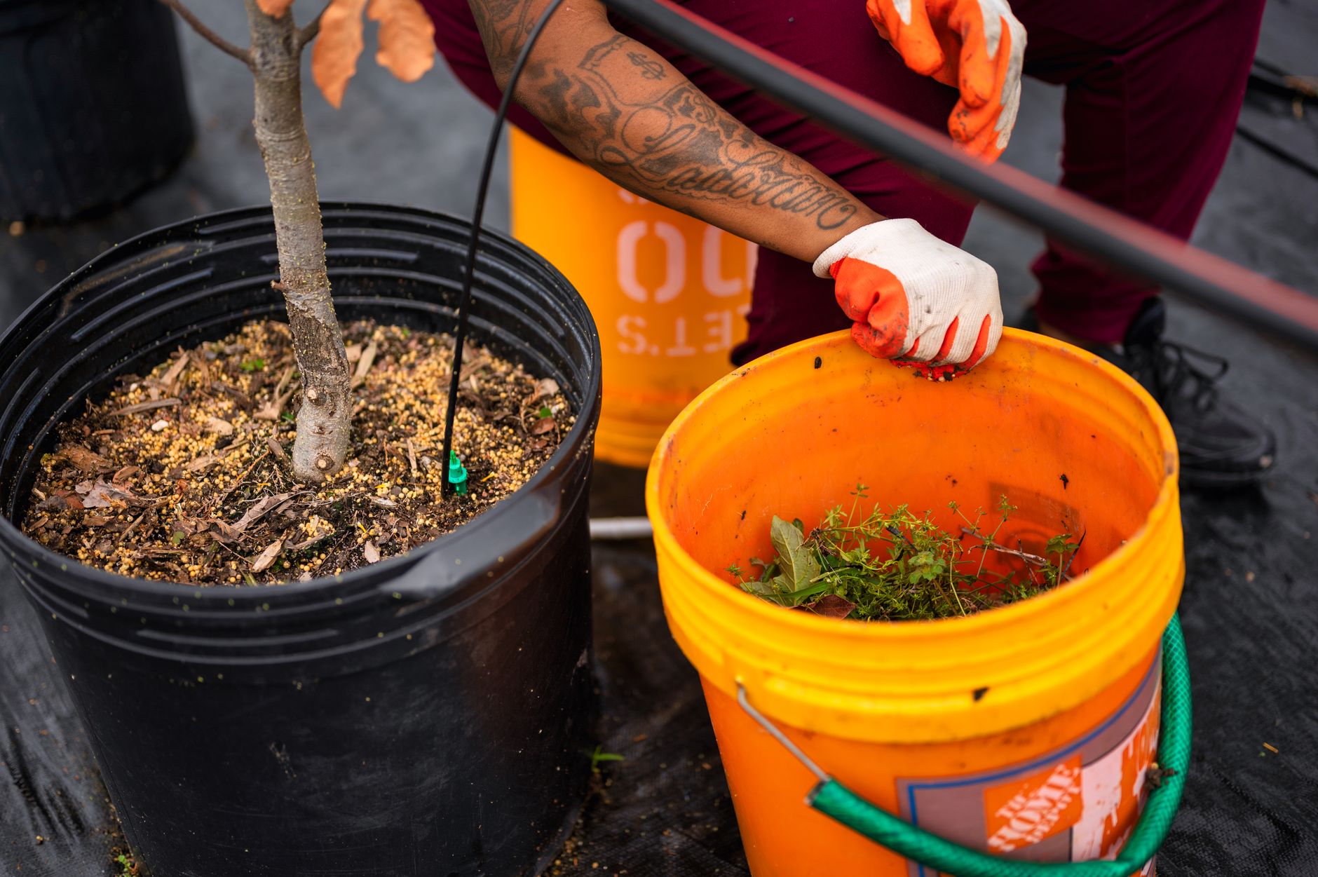 Basic compost tea steeping