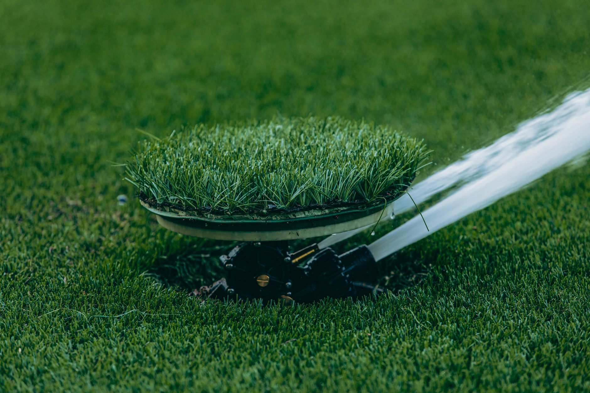 Watering