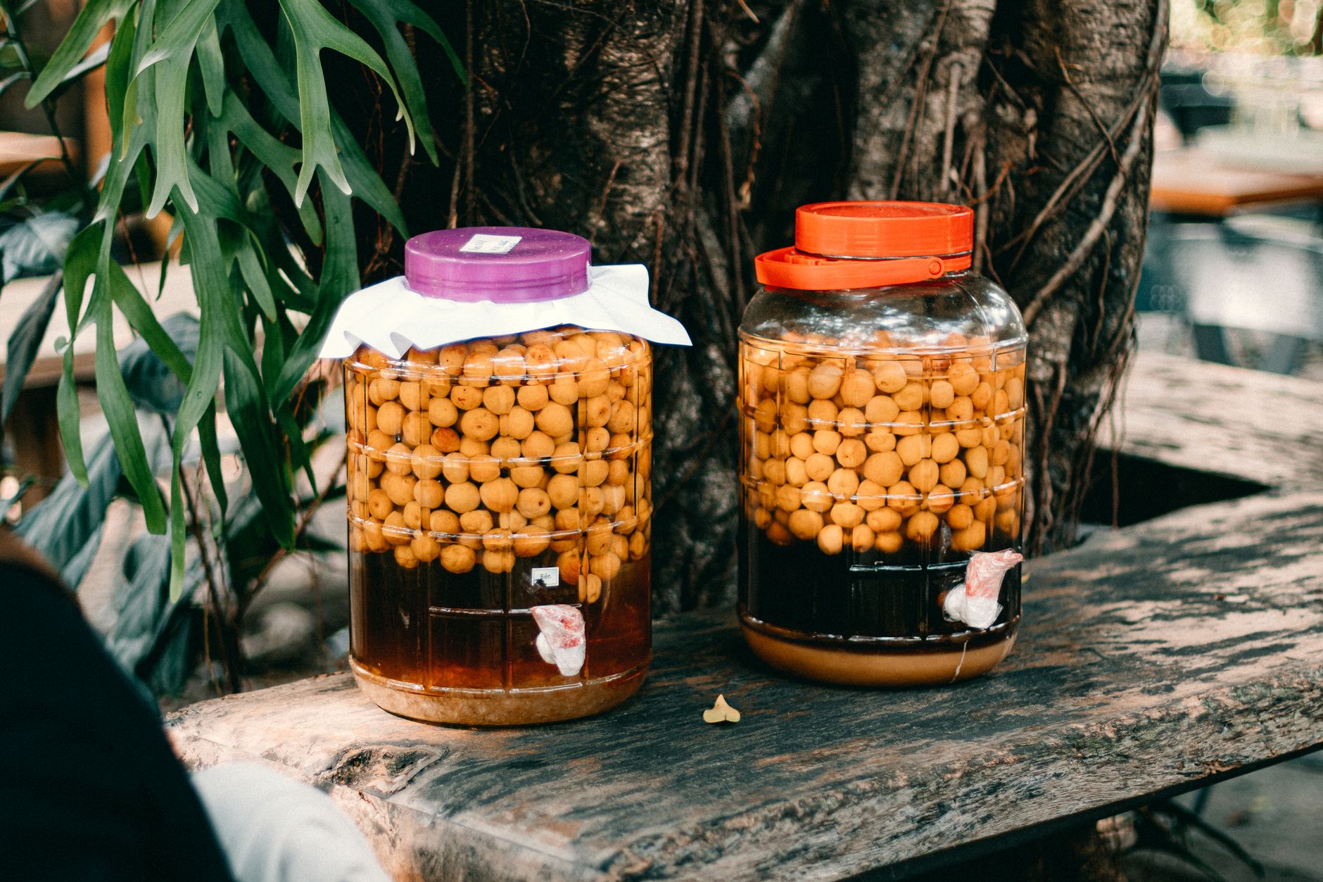Vinegar and fermented pickle comparison