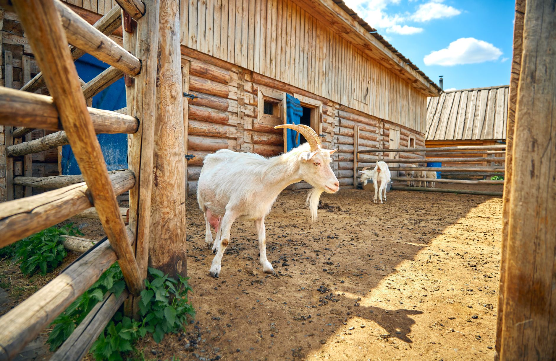 Milk filtering and storage
