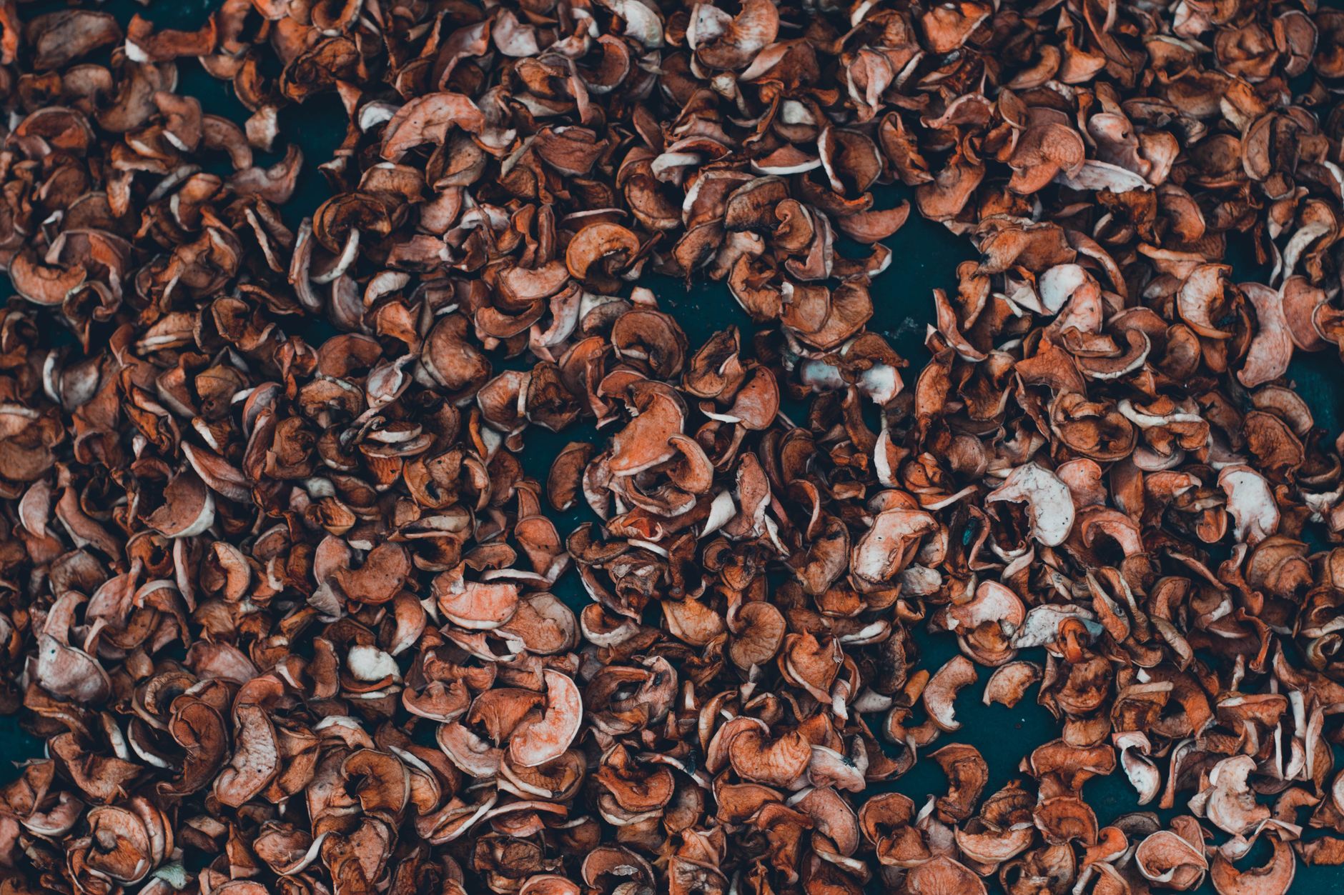 Full range of mulch benefits