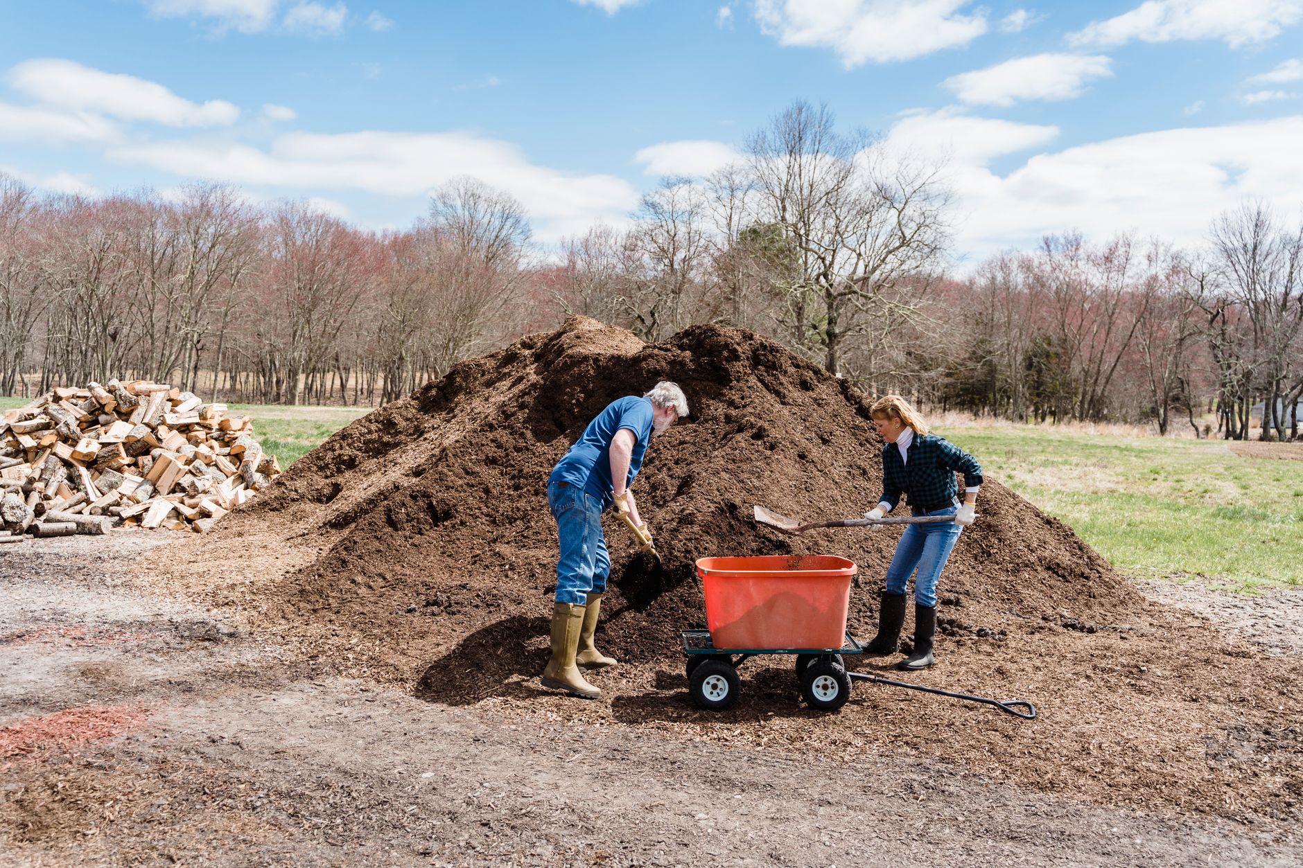 Watering and mulching