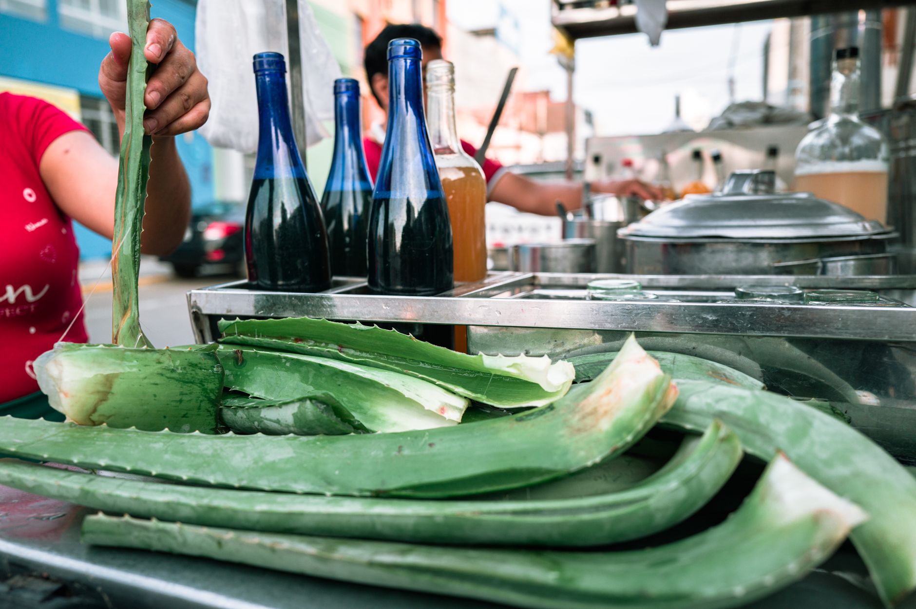 Separating aloe pups