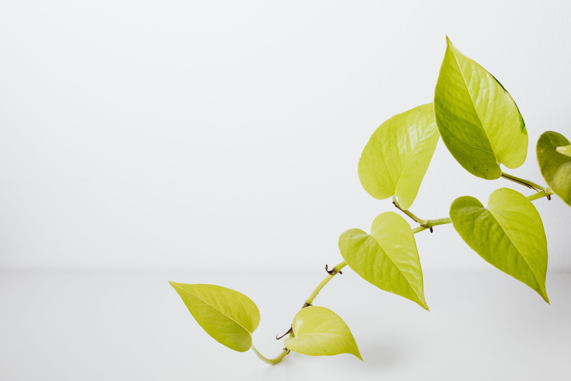 Water propagation