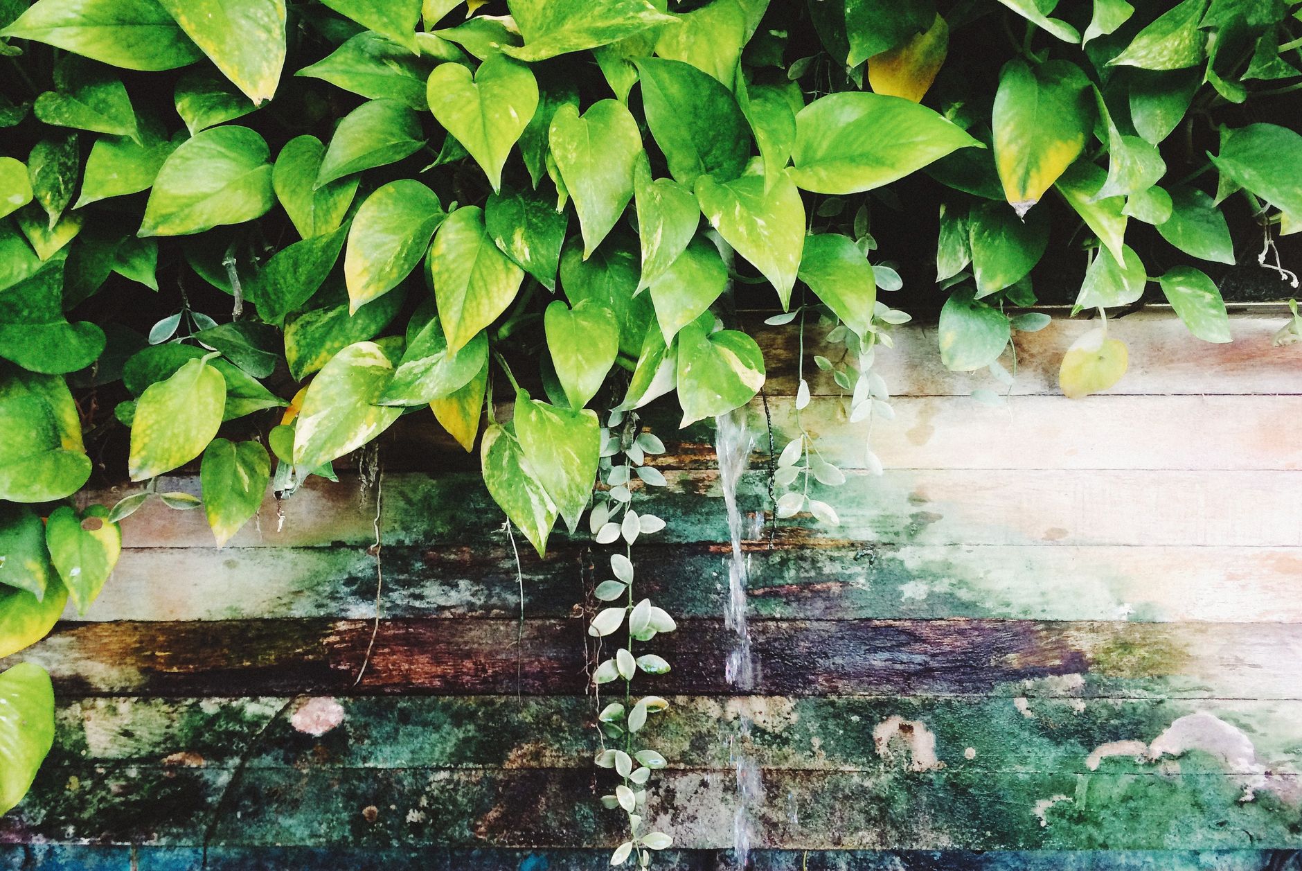 Propagation troubleshooting