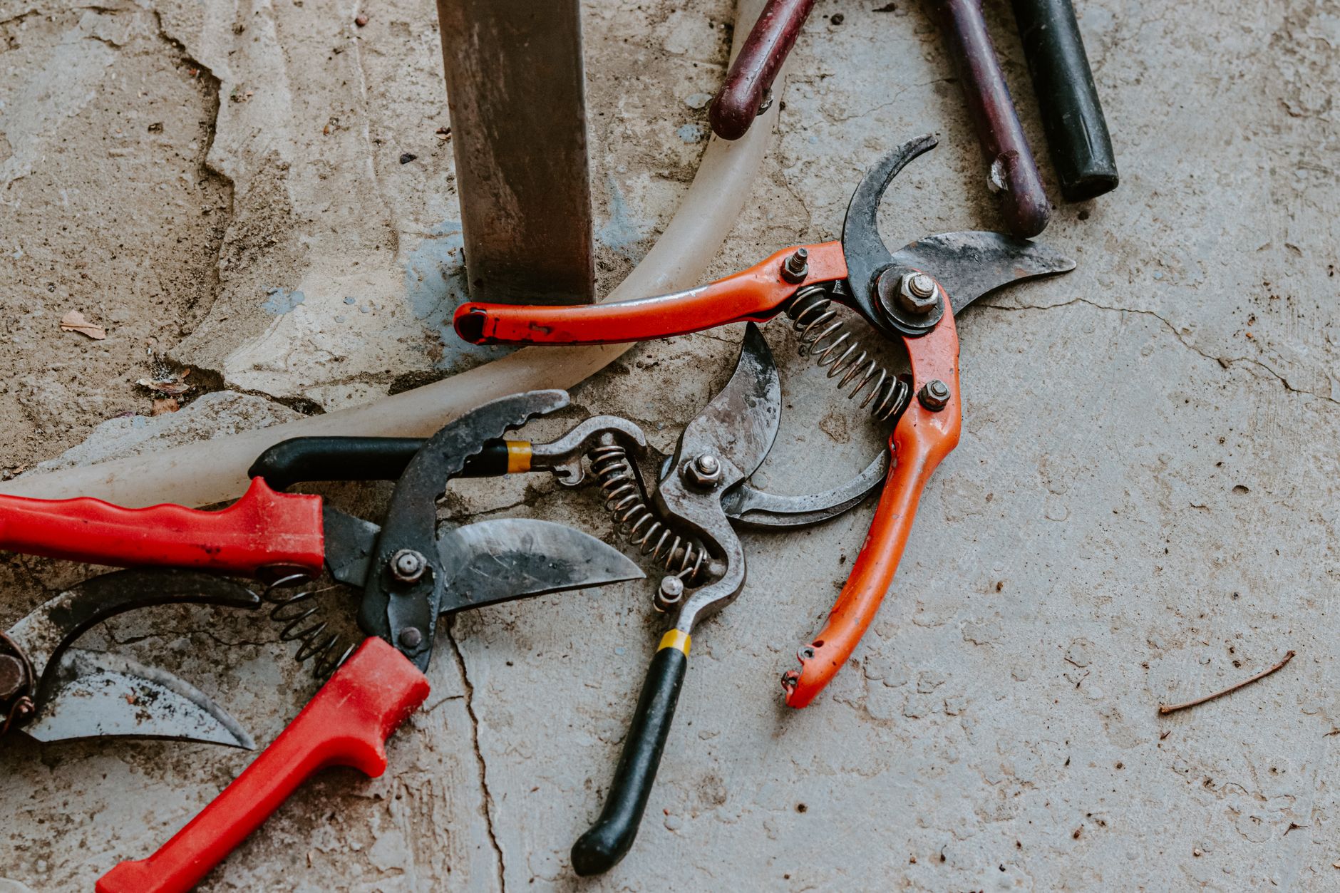Pruning benefits