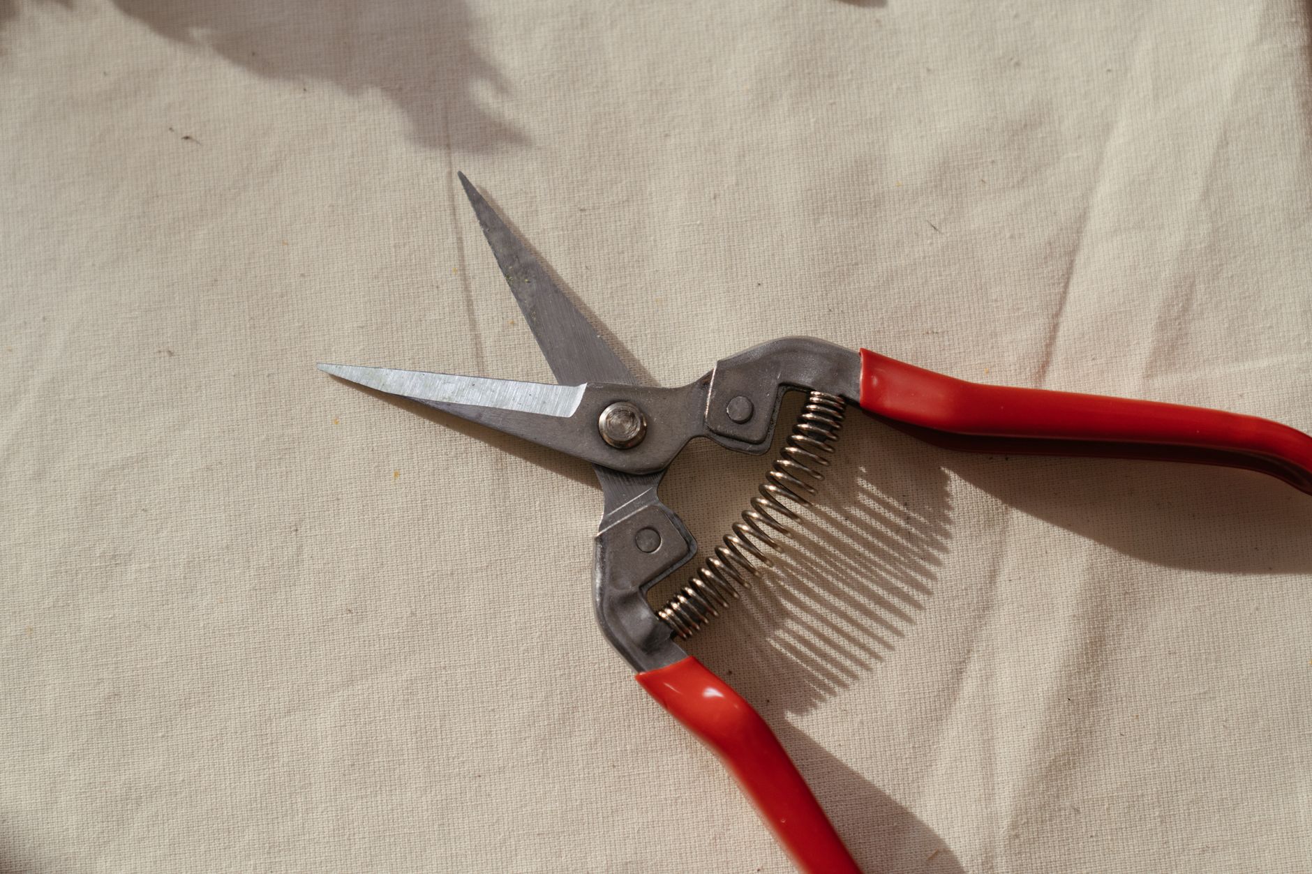 Pruning tools