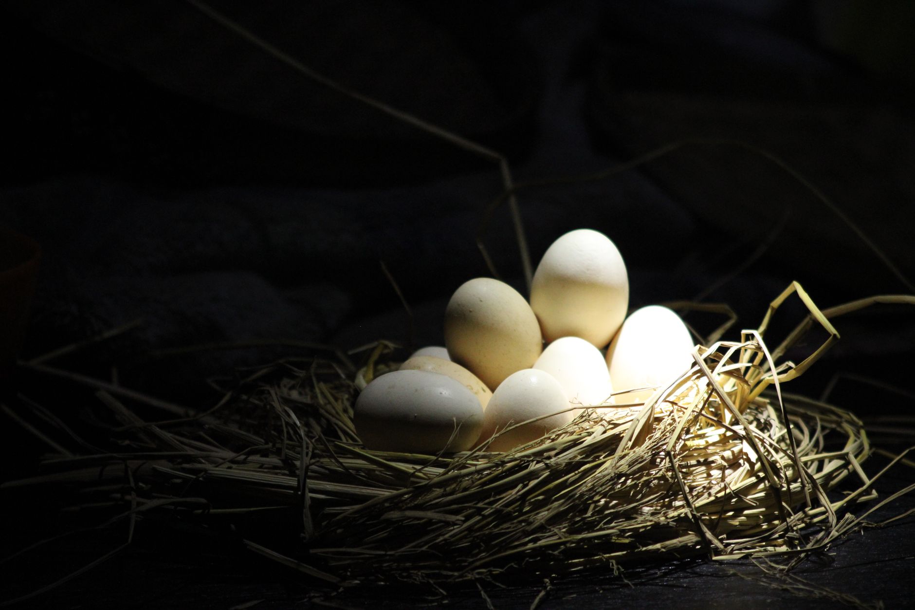 Duck eggs