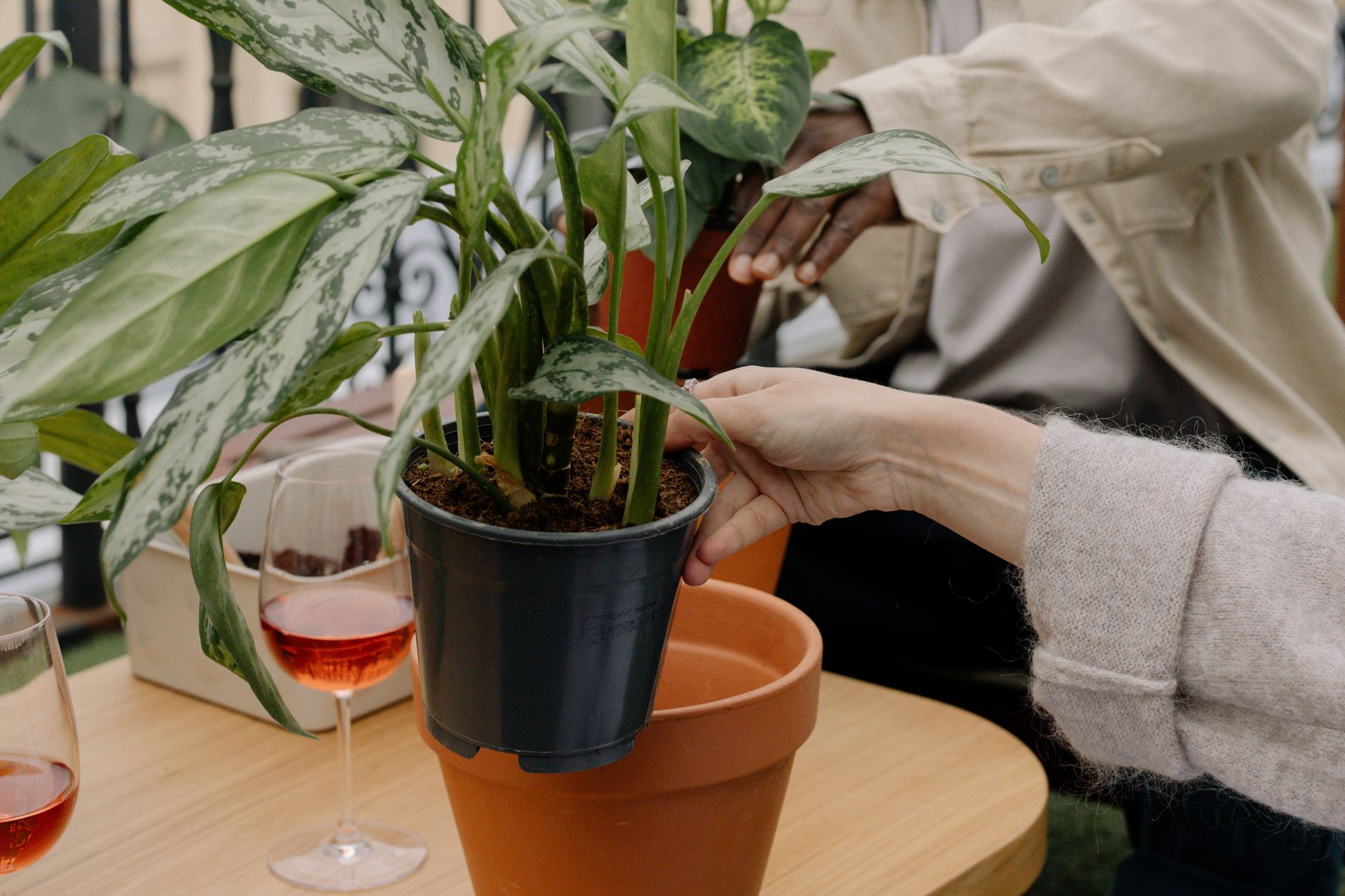 Removing plant