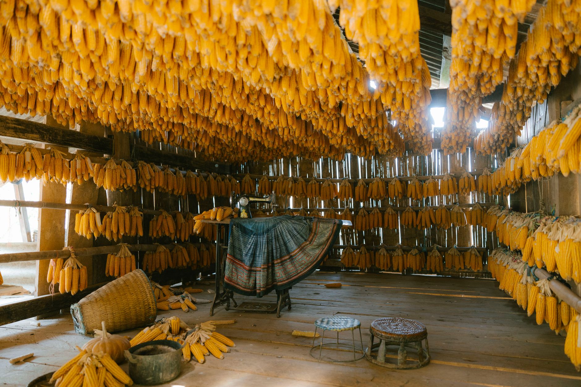 Preparing seeds for storage