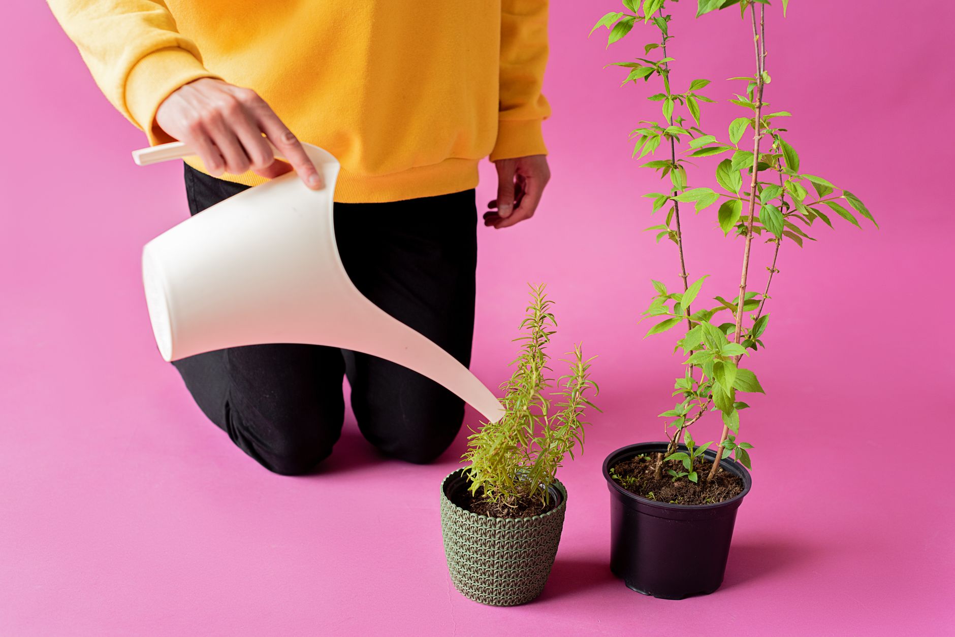 Herb troubleshooting