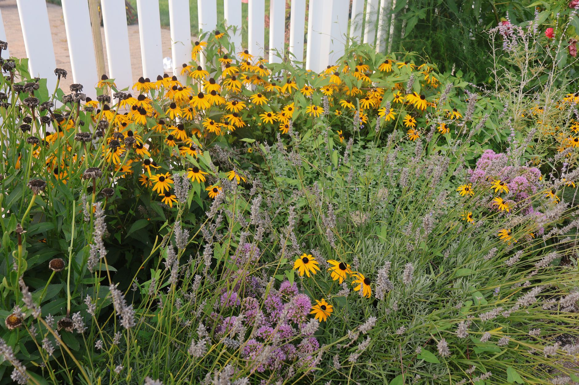Succession planting