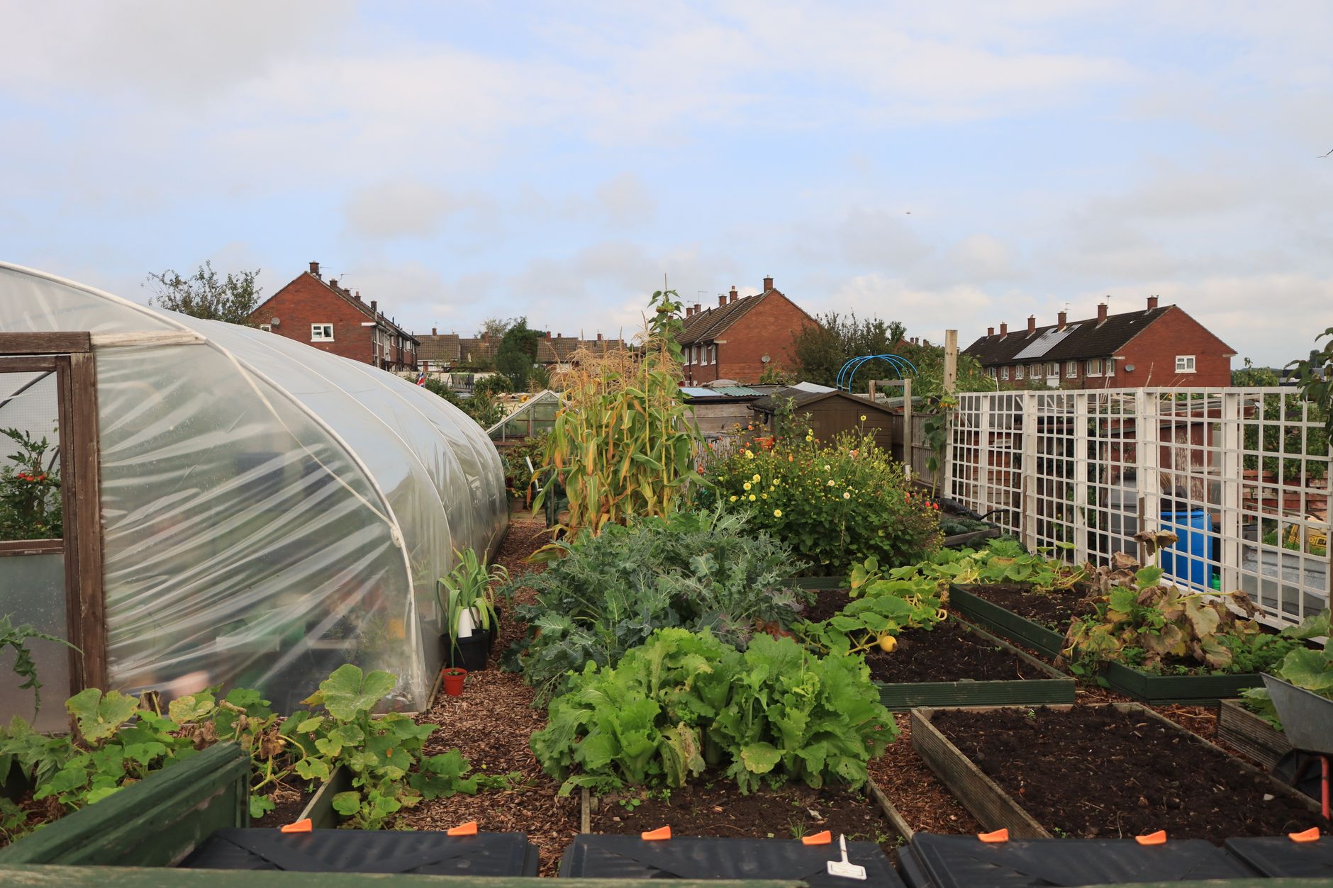 Different raised bed kit sizes