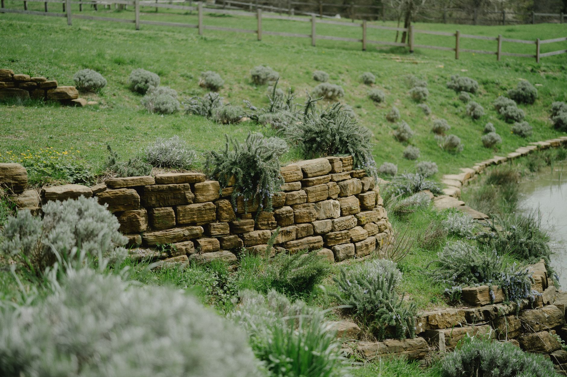 Rock garden location