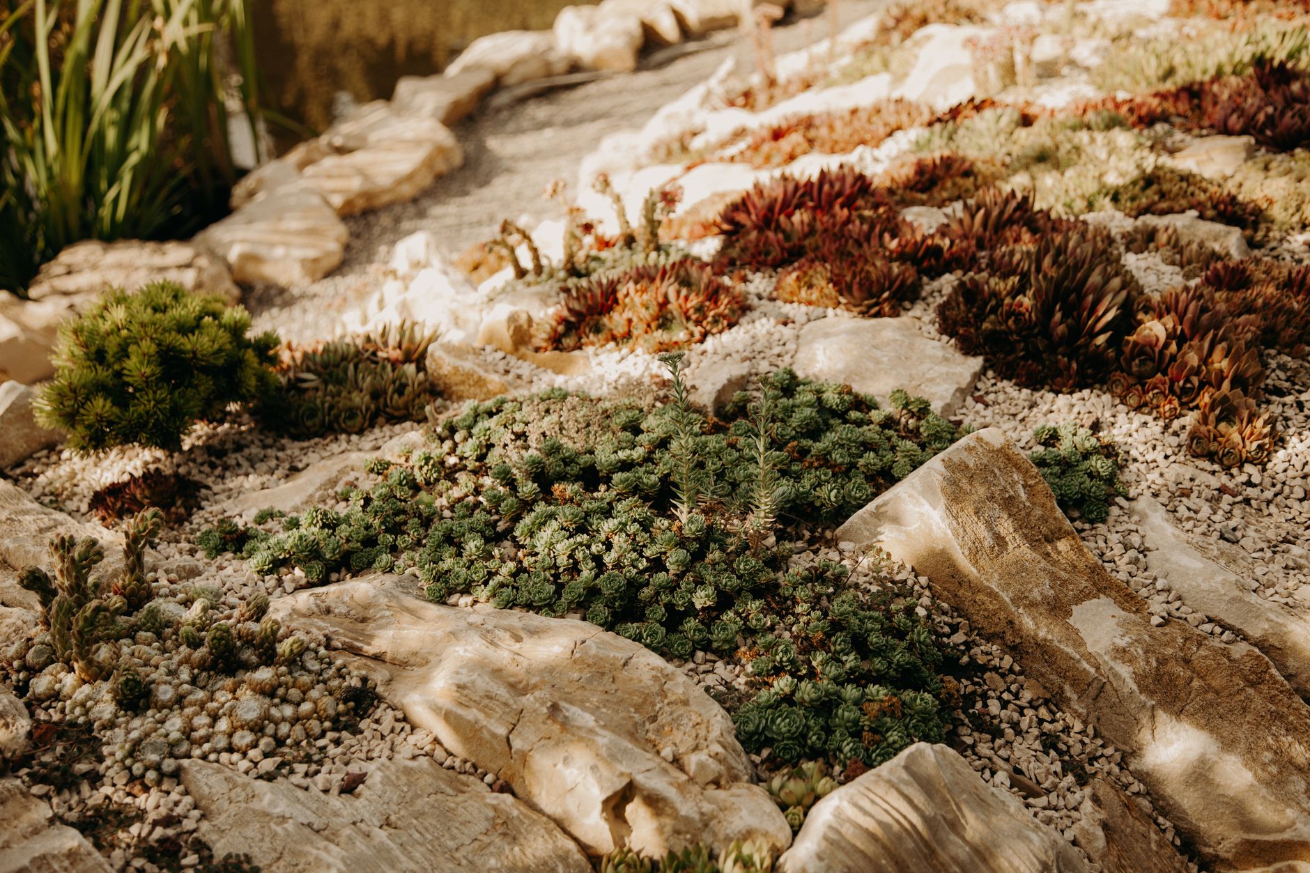 Planting