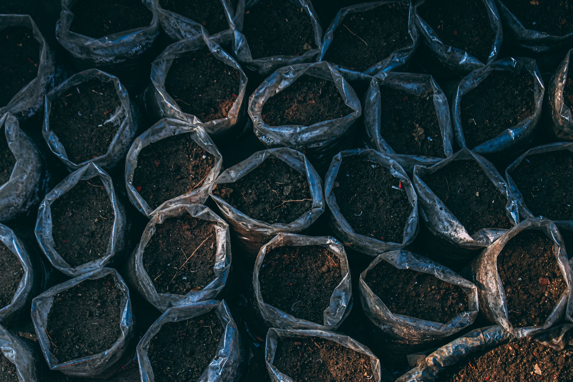 Soil preparation