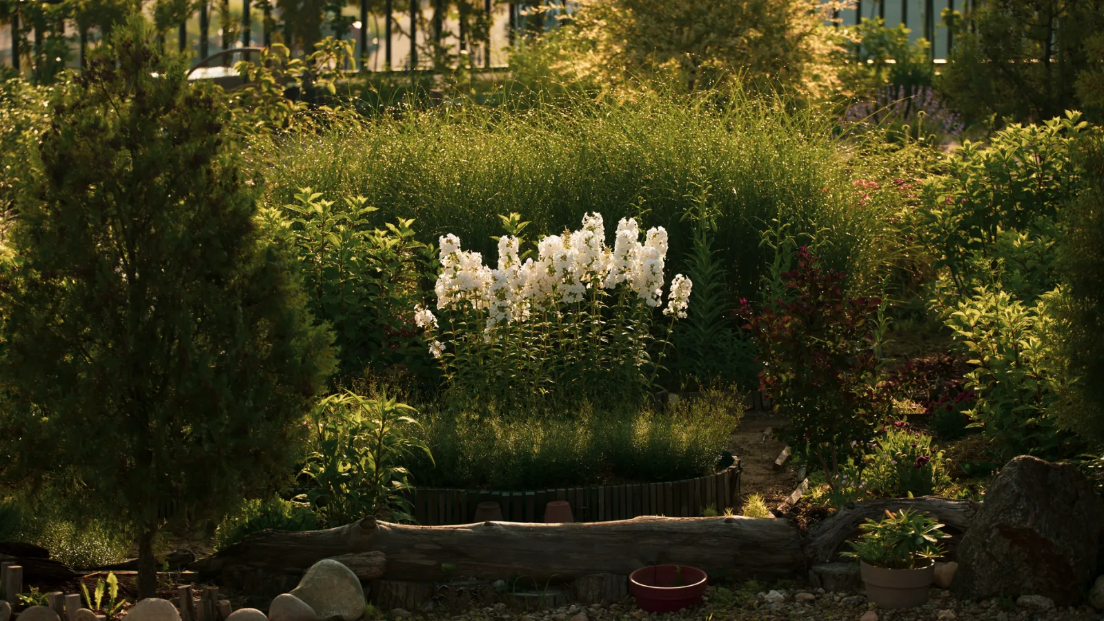 A productive backyard vegetable garden