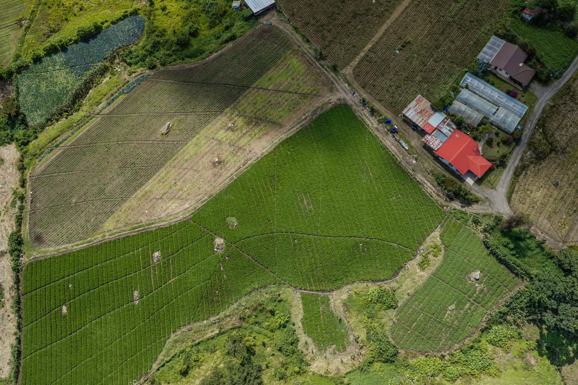 Evaluating a property for homesteading