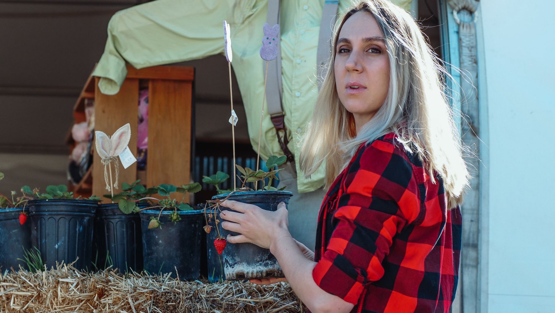 Watering an established straw bale garden
