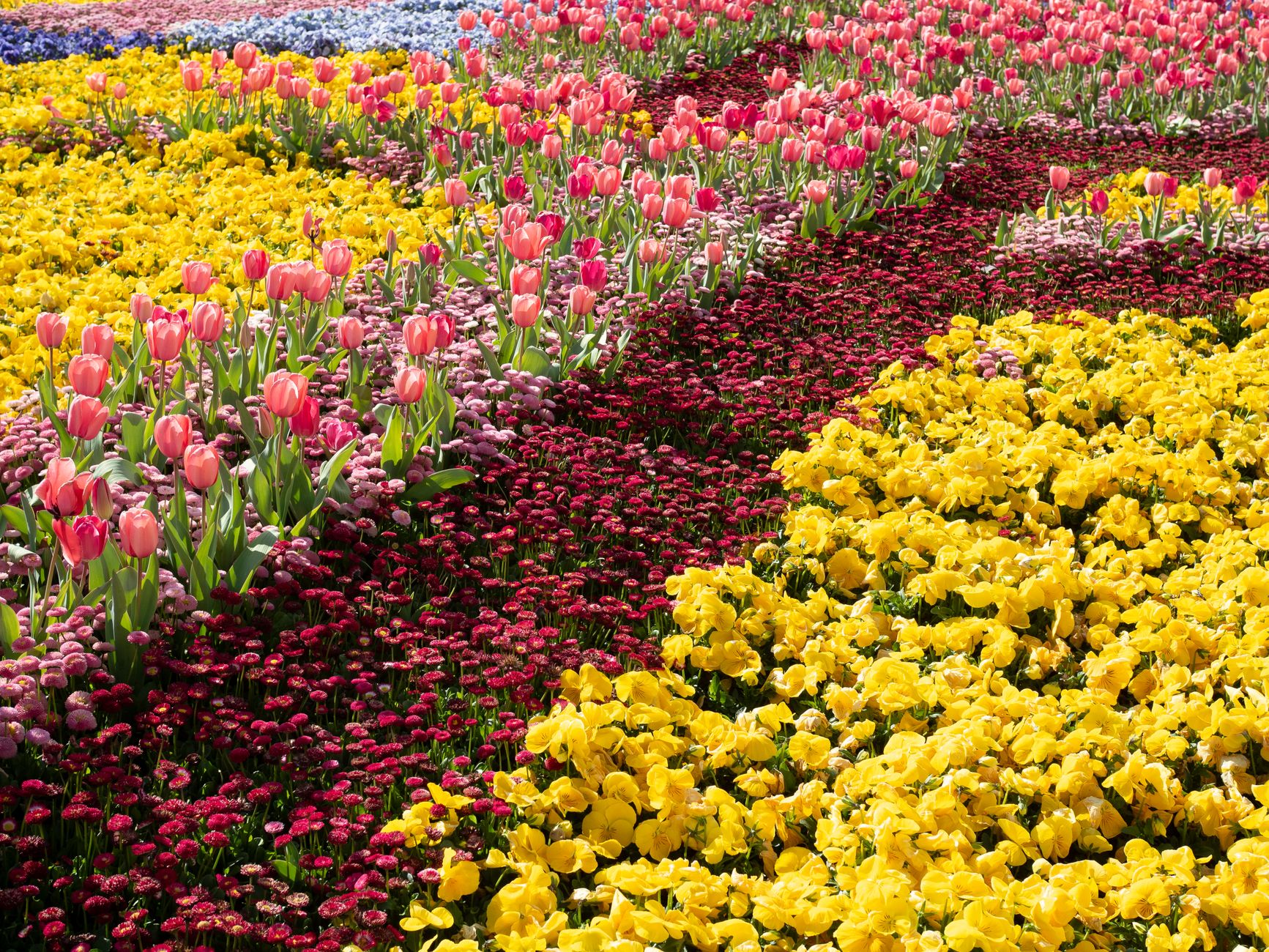 Tiered garden bed concept