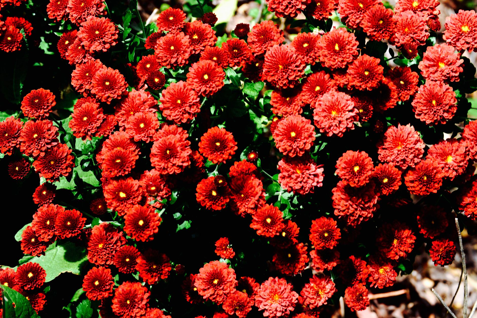 Maintaining a tiered garden bed