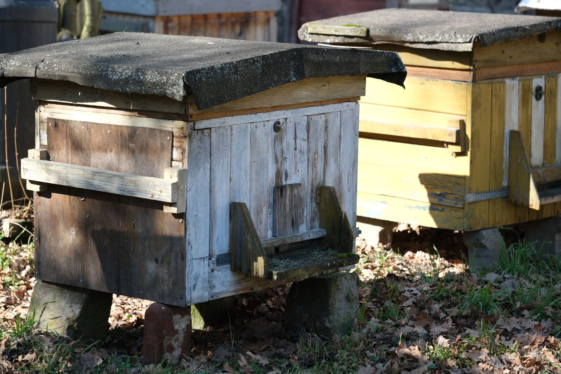 Top-Bar hive