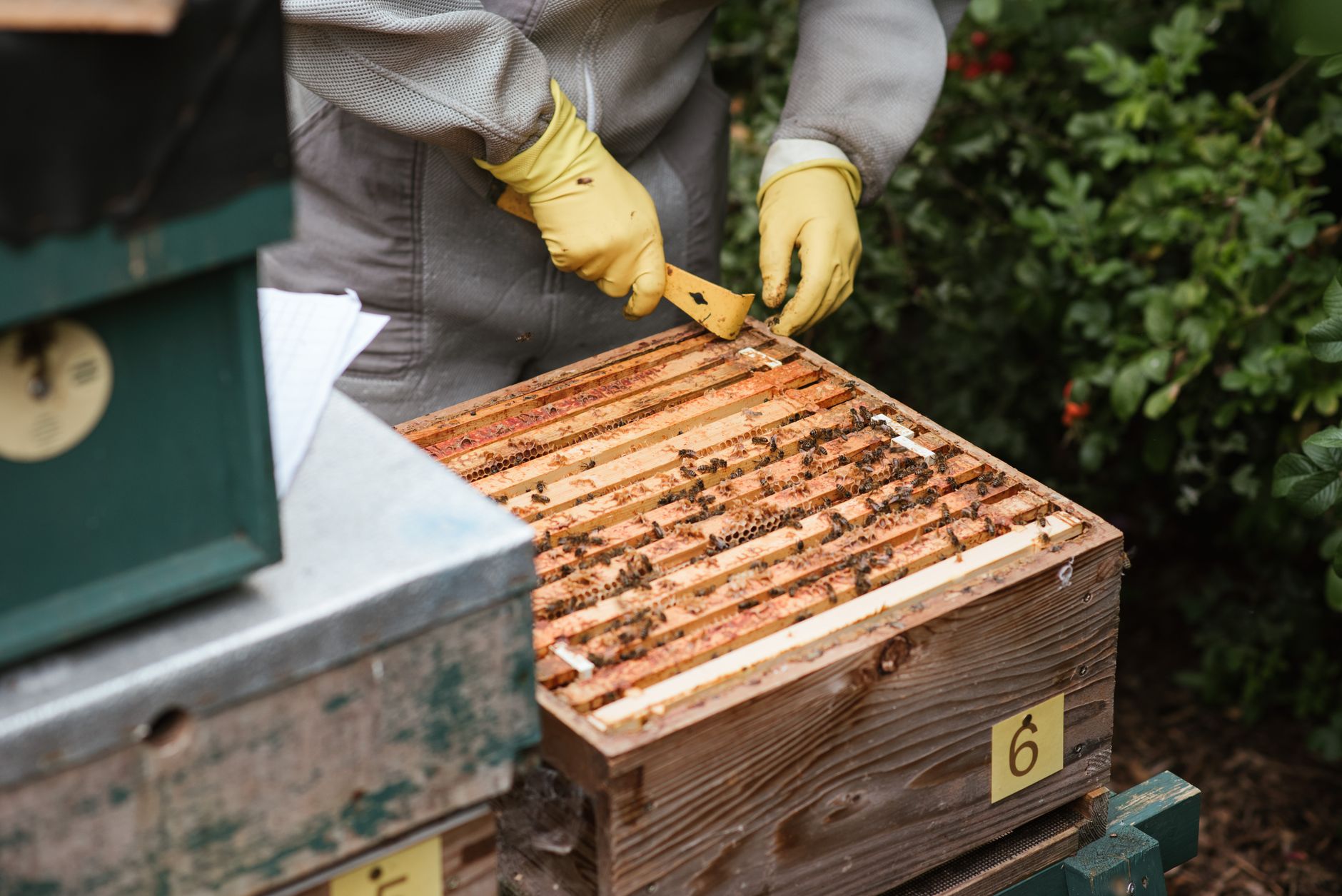 Hive setup