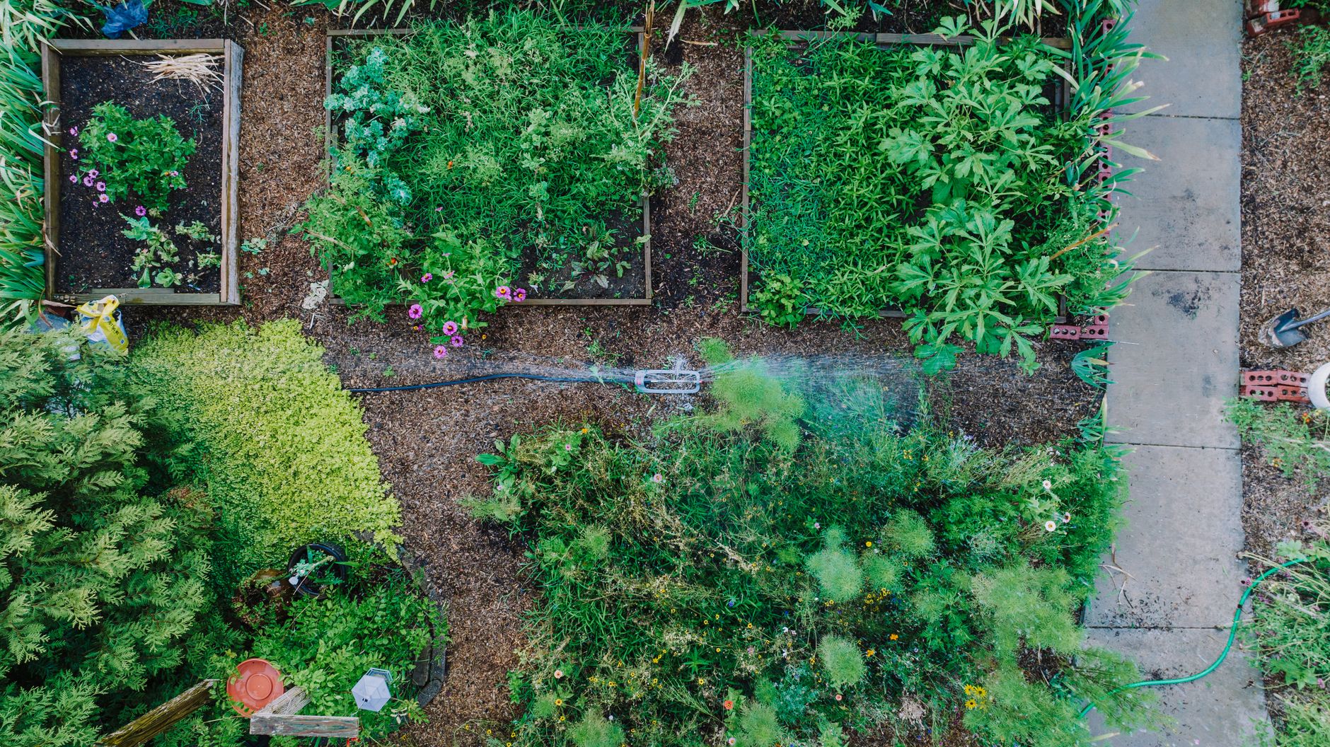 Vegetable Garden Layout: The Complete Guide to Planning Your Beds