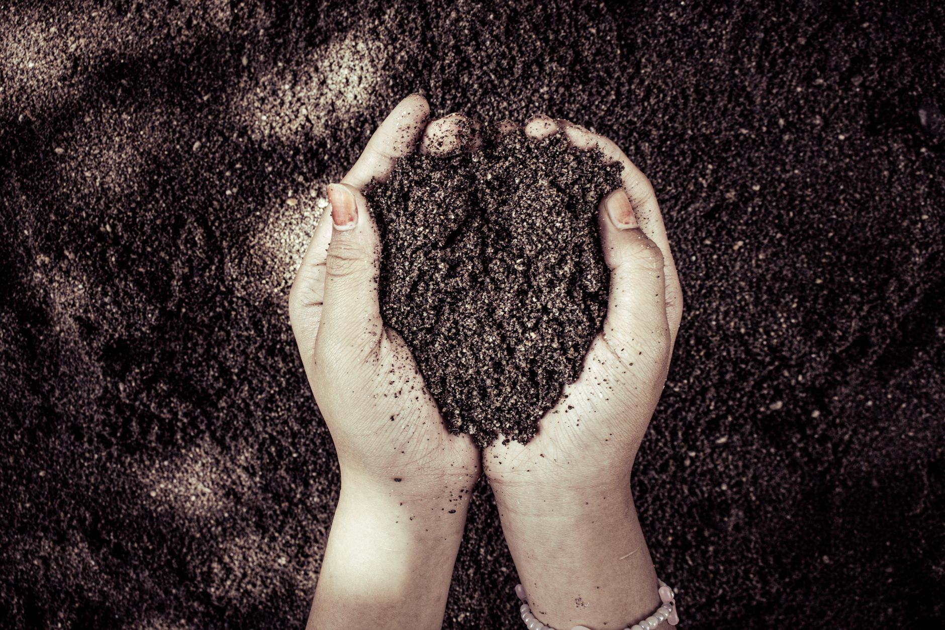 What Is Topsoil? Complete Explanation and Buying Guide