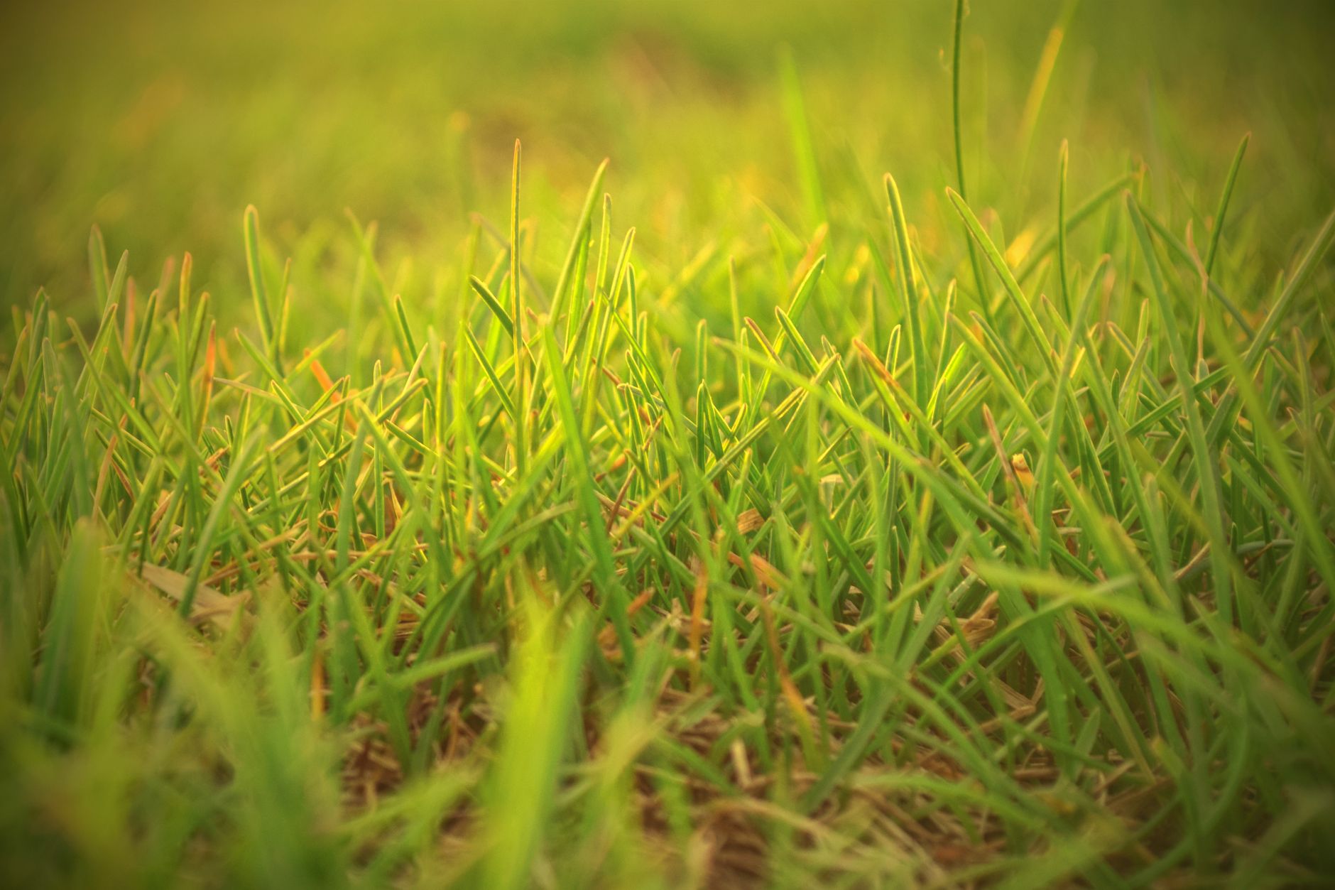Using topsoil for different projects