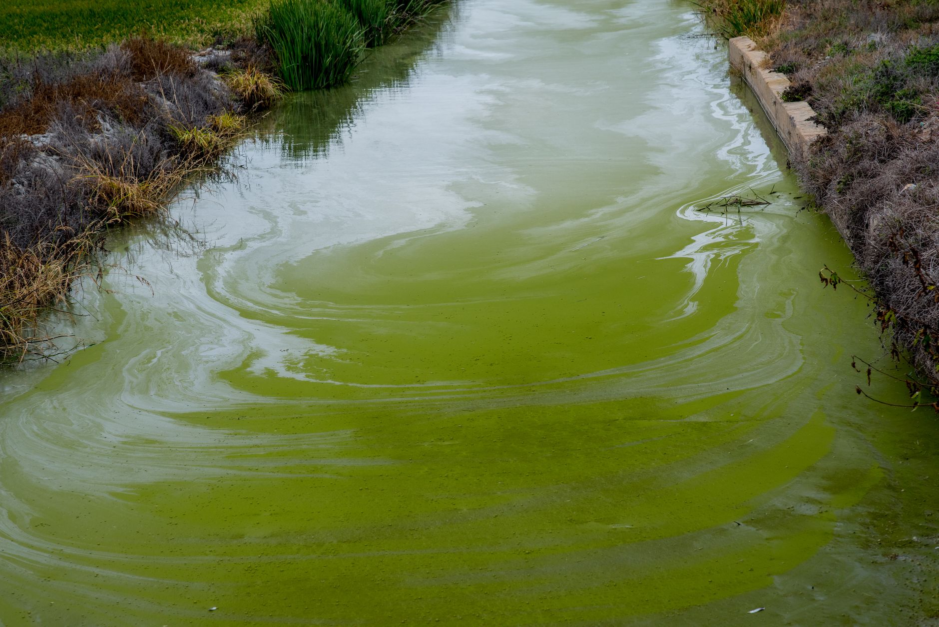 Avoiding chemically treated materials