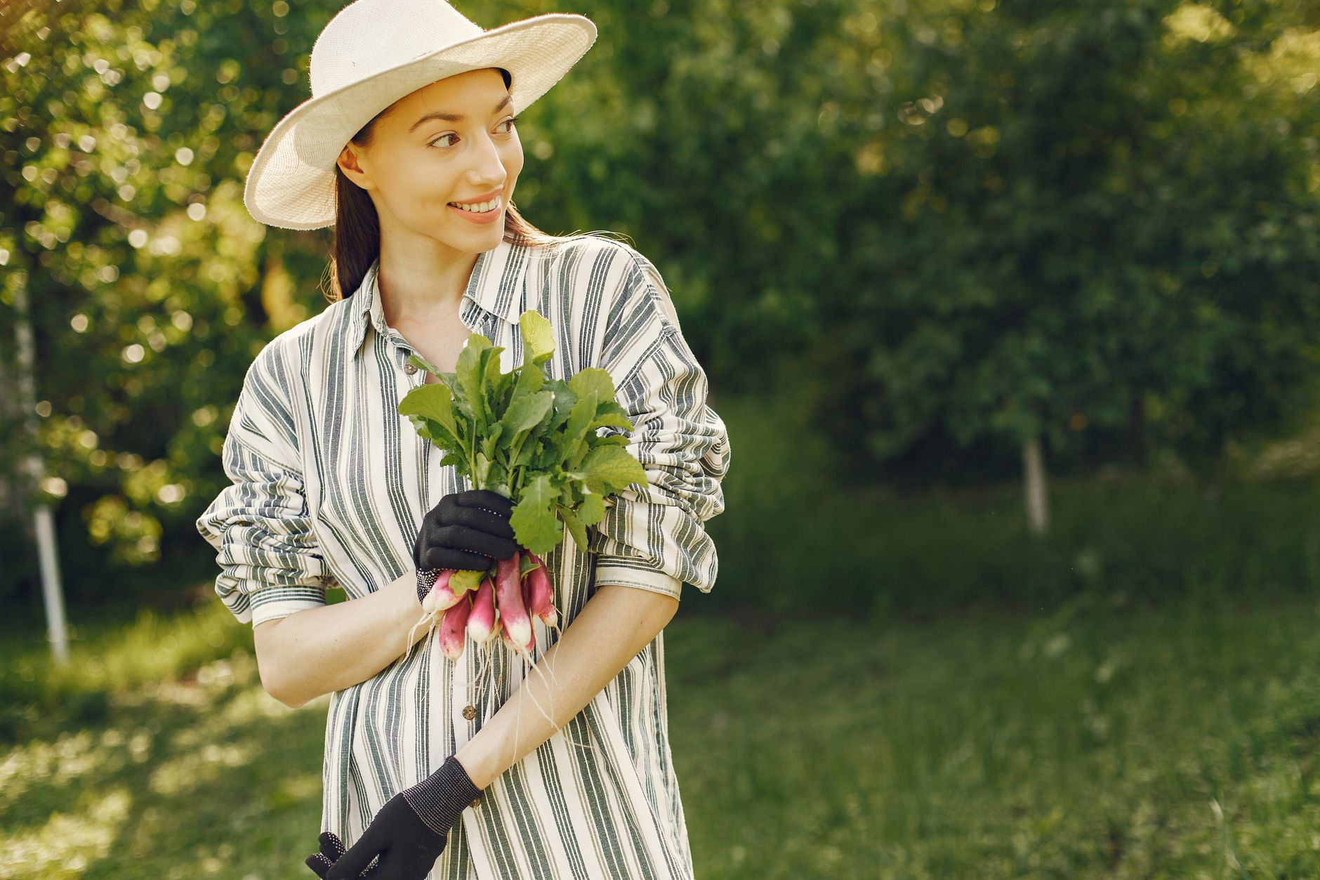 Radishes interplanted with carrots