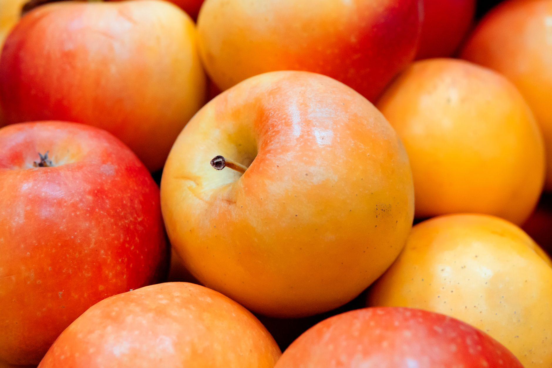 Visual ripeness cues