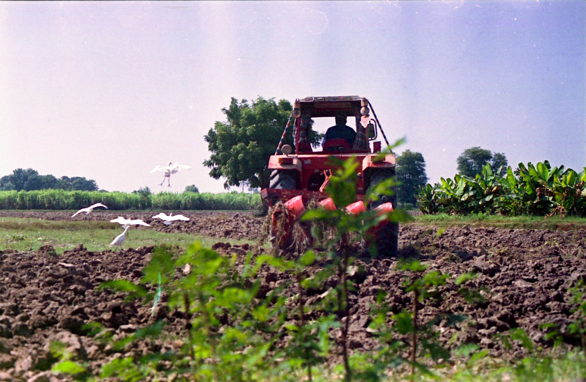 Site preparation
