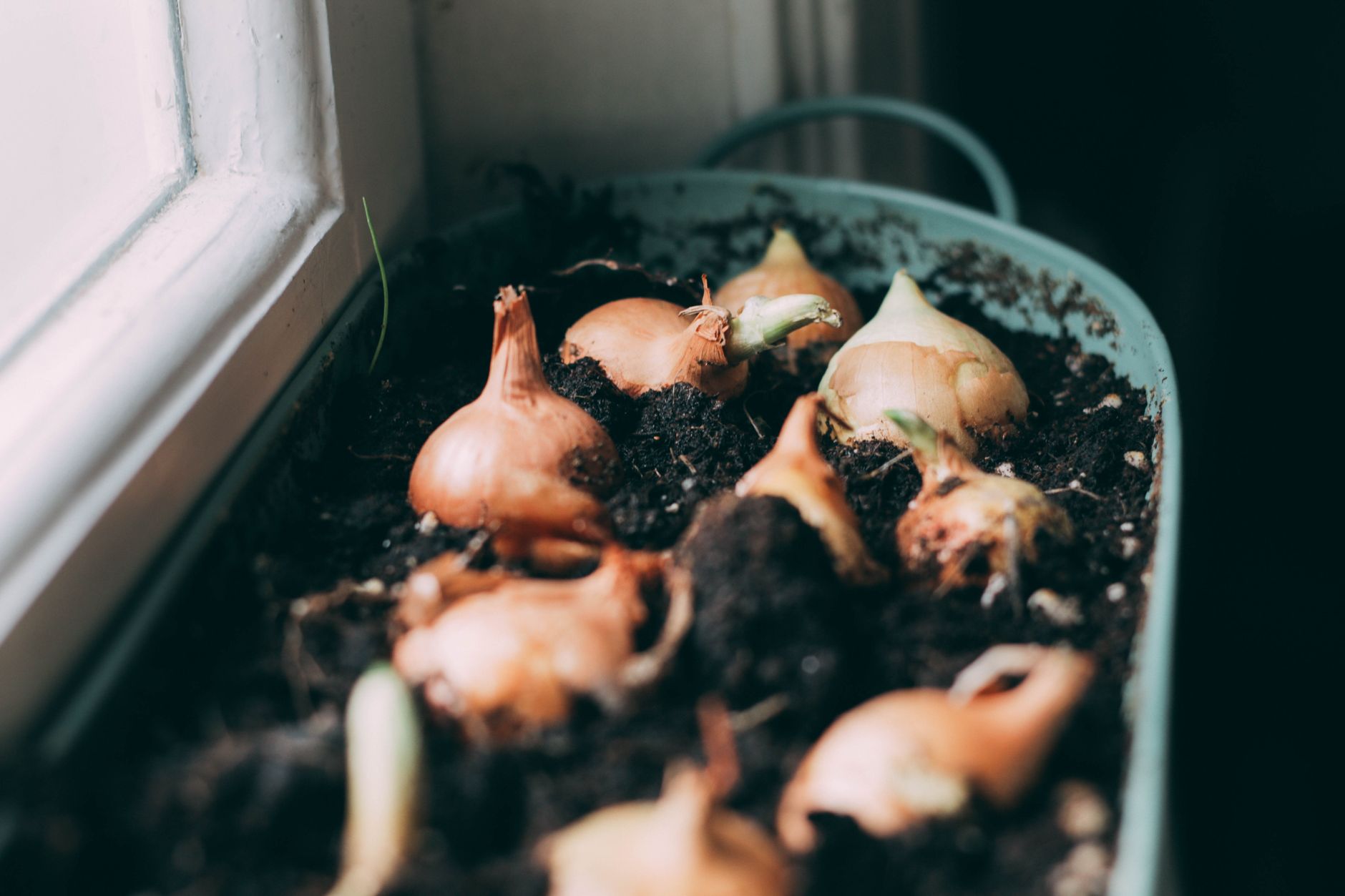 Planting practices