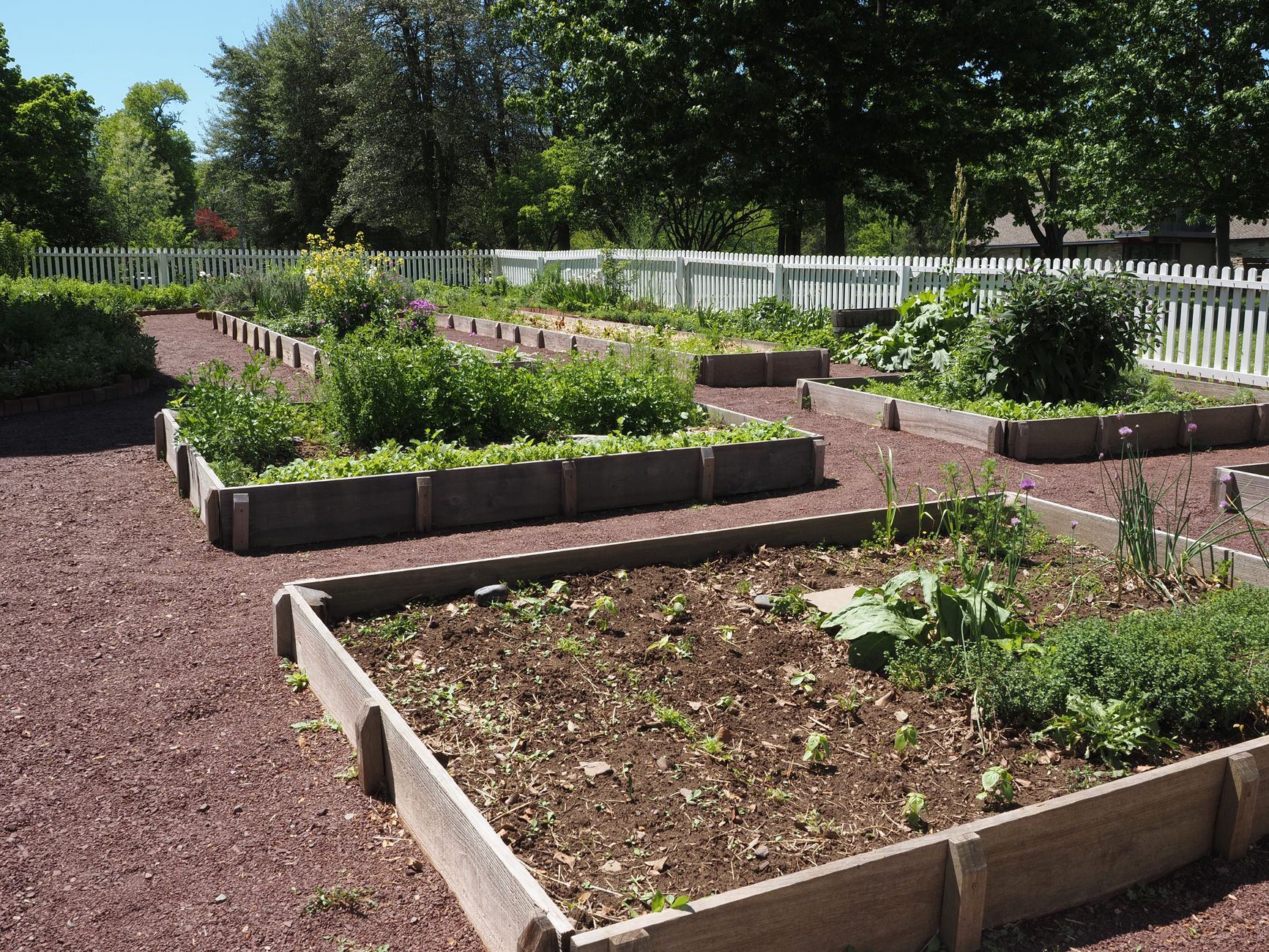 Small garden divided for rotation